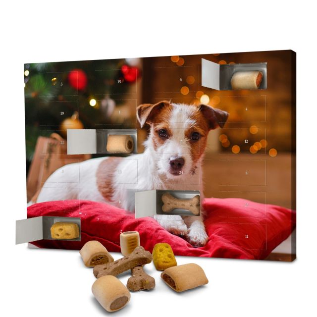 Calendrier de l'Avent 'Friandises pour chiens'