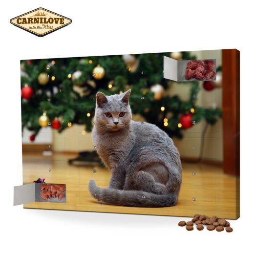 Adventskalender Für Katzen' - 'Tiere Produktbild-Vorschau 9